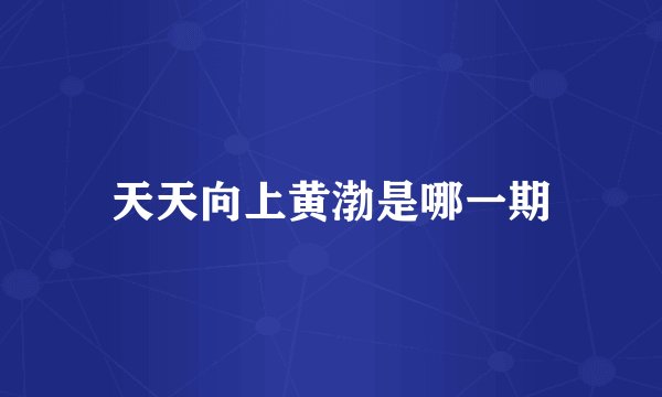 天天向上黄渤是哪一期