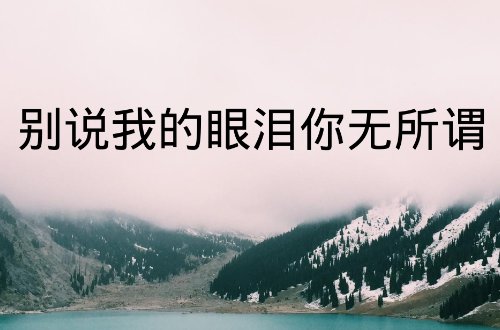 爱给了你我不后悔是什么歌