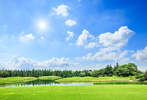 求一首英文歌，里面一直在唱sunny sunny sunny最后来了句i want you