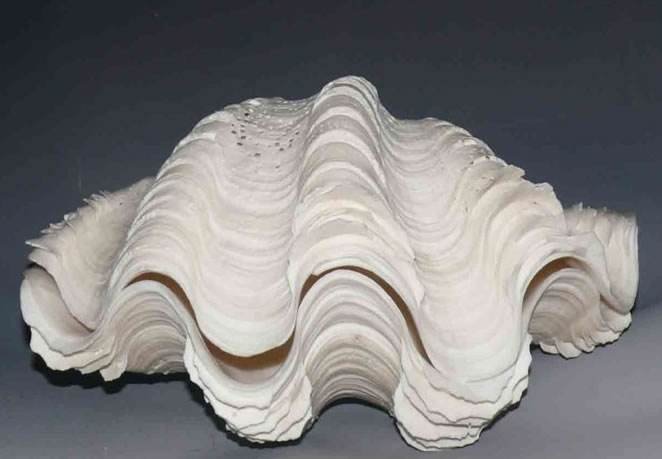 车和渠的右边是什么字？