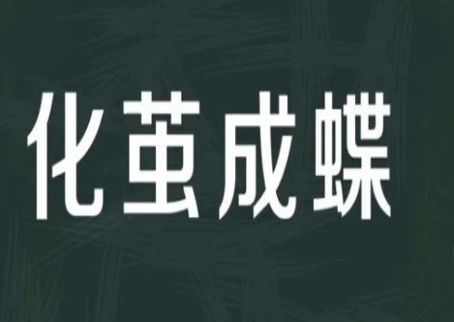 化茧成蝶是什么意思