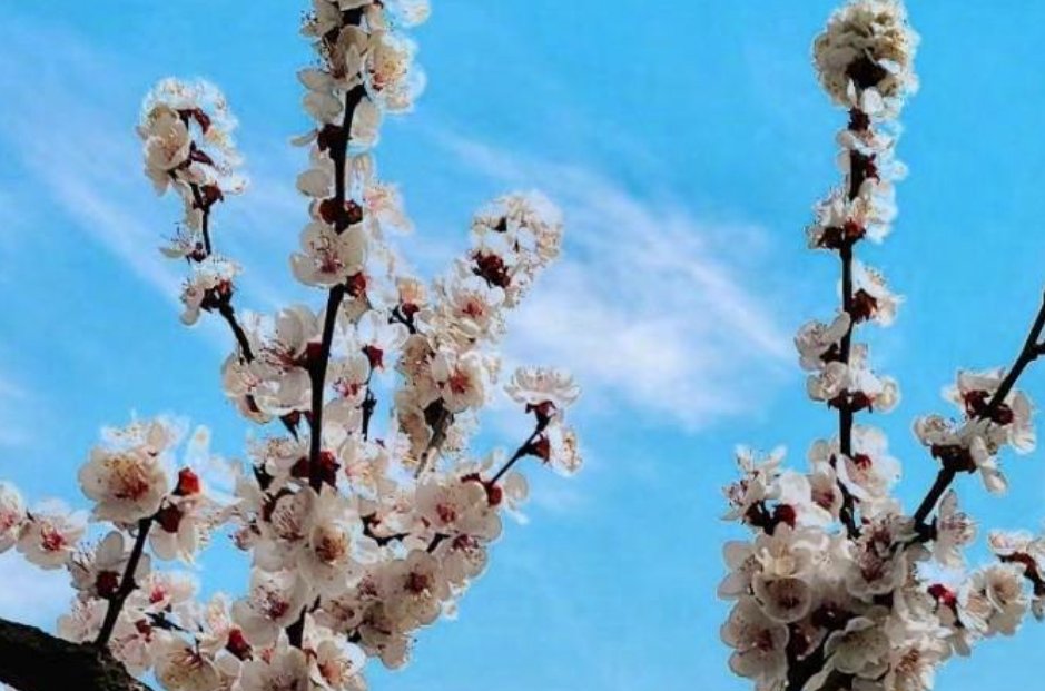 不负春光是什么意思？