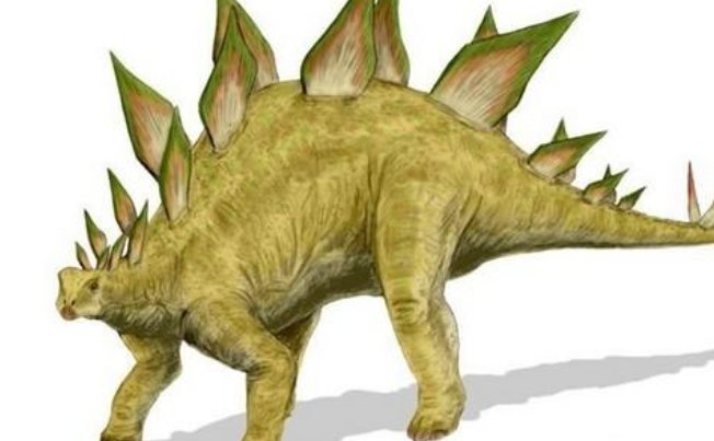 恐龙有哪些种类和名字