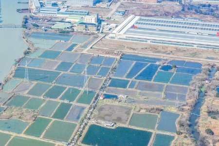 星罗棋布是什么意思