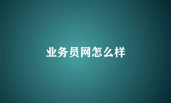 业务员网怎么样