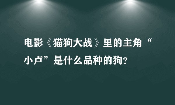 电影《猫狗大战》里的主角“小卢”是什么品种的狗？