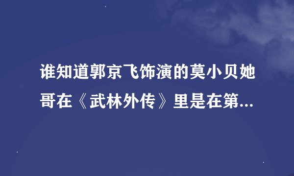 谁知道郭京飞饰演的莫小贝她哥在《武林外传》里是在第几集出现啊