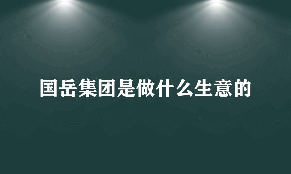 国岳集团是做什么生意的