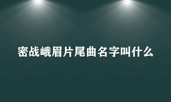密战峨眉片尾曲名字叫什么