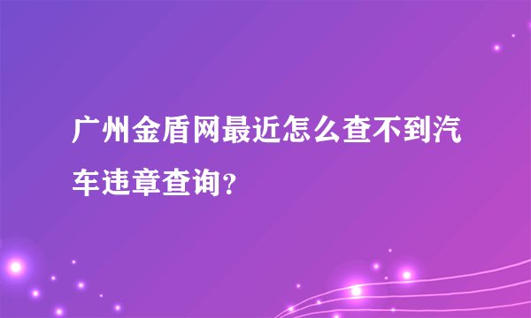广州金盾网最近怎么查不到汽车违章查询？