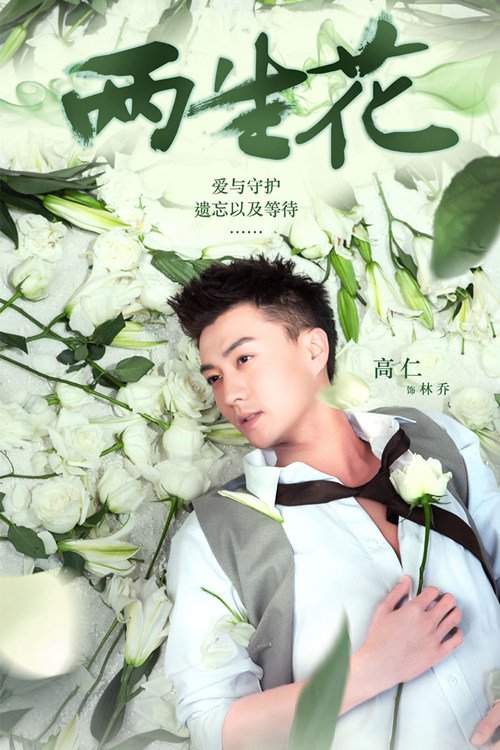 A货贵公子的内容简介