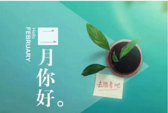 二月二十一是什么日子