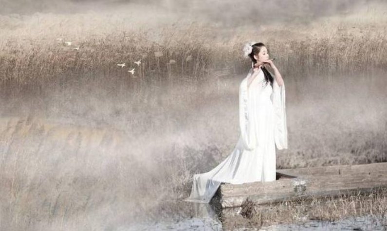 有位佳人在水一方的全诗是什么?