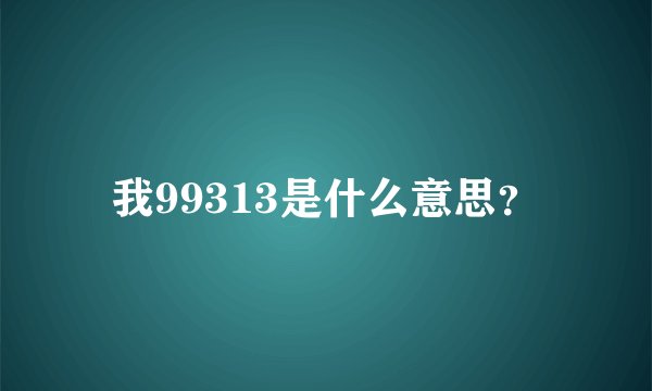 我99313是什么意思?