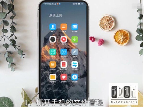 我的视频在哪里找到