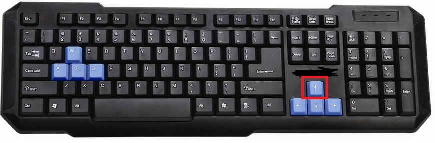 向上的箭头是哪个键