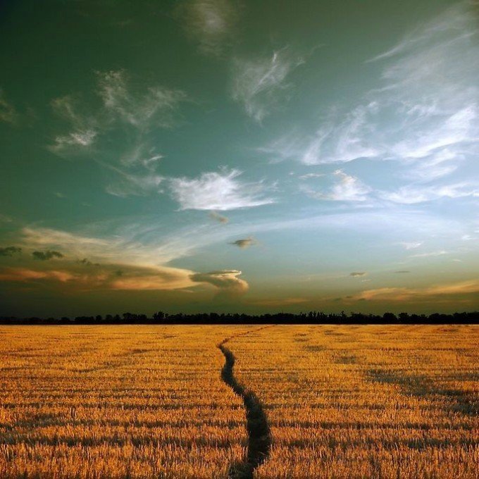 bigbear是什么意思