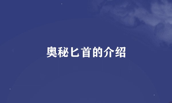 奥秘匕首的介绍
