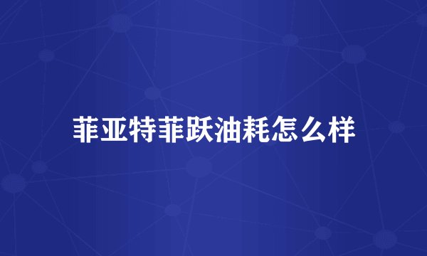 菲亚特菲跃油耗怎么样