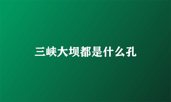 三峡大坝都是什么孔