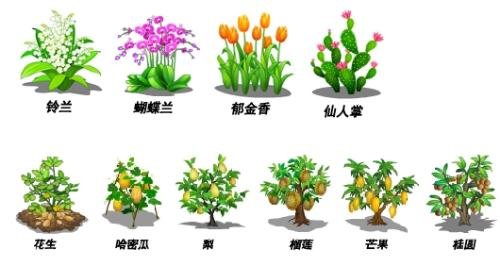 QQ农场有机种子的介绍