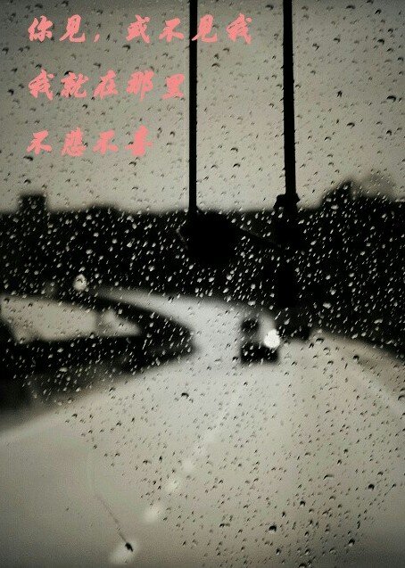 仓央嘉措《见与不见》的全文