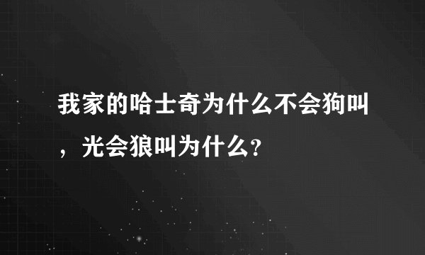 我家的哈士奇为什么不会狗叫，光会狼叫为什么？