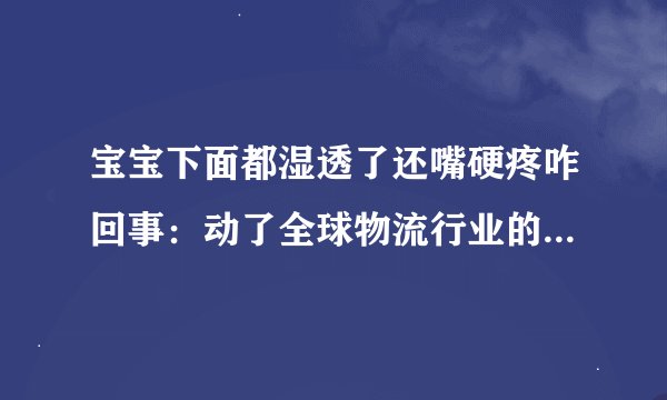 宝宝下面都湿透了还嘴硬疼咋回事：动了全球物流行业的创新与进步