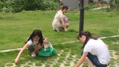 什么叫拔草啊，什么意思？