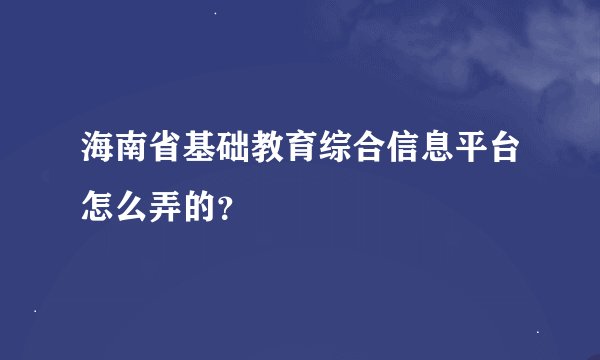 海南省基础教育综合信息平台怎么弄的？