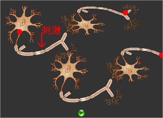 兴奋坠饰的其他信息