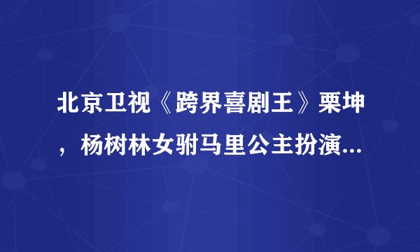 北京卫视《跨界喜剧王》栗坤，杨树林女驸马里公主扮演者名字叫什么?