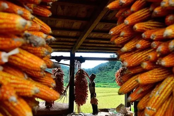 沉甸甸的意思是什么？