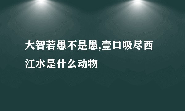 大智若愚不是愚,壹口吸尽西江水是什么动物