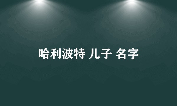 哈利波特 儿子 名字