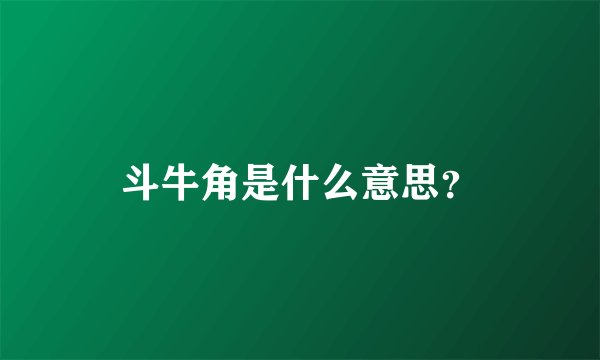 斗牛角是什么意思？