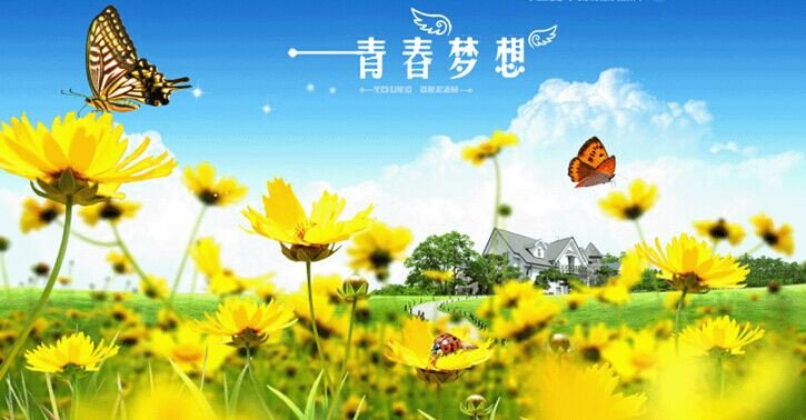 青春如期2青春梦想的演员介绍