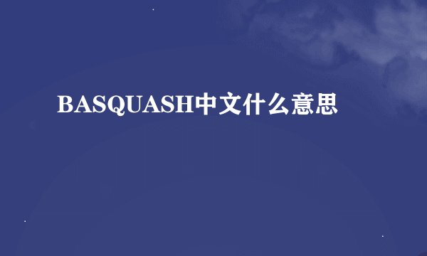 BASQUASH中文什么意思