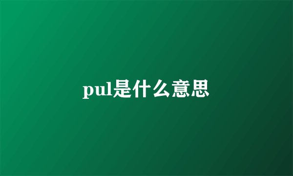 pul是什么意思