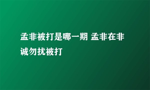 孟非被打是哪一期 孟非在非诚勿扰被打