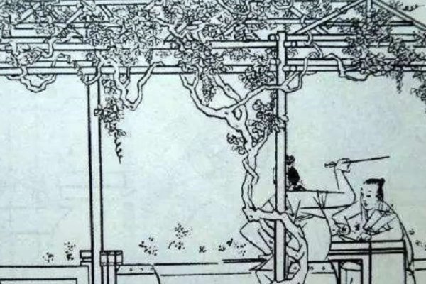 潘金莲倒挂葡萄树描写原文