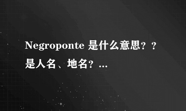 Negroponte 是什么意思？？是人名、地名？还是。。。