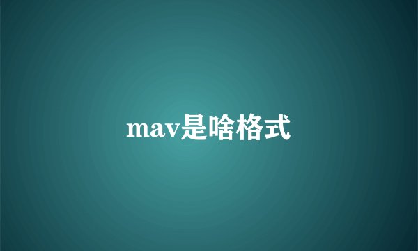 mav是啥格式