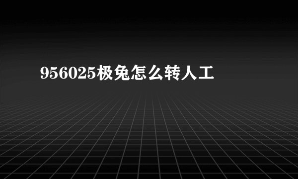 956025极兔怎么转人工