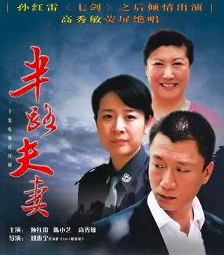 半路夫妻剧情分集介绍