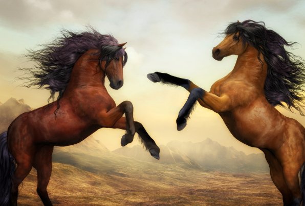 落花媒人是什么生肖