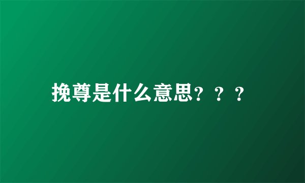 挽尊是什么意思？？？