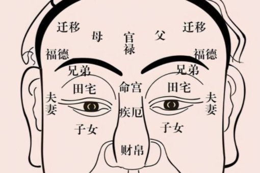 伏羲骨是什么