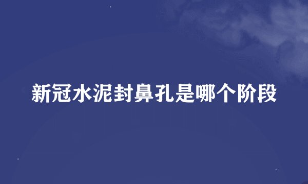 新冠水泥封鼻孔是哪个阶段