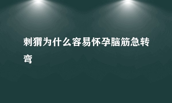 刺猬为什么容易怀孕脑筋急转弯